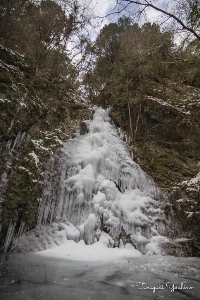 払沢の滝　完全氷結