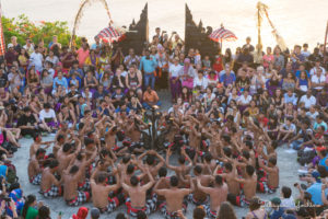 バリ島の魚　ニモ　カクレクマノミ